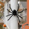Ruhhy 26029 Gigantyczny pająk 50 cm, czarny Podgląd zdjęcia produktu 7