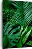 Bild auf Leinwand - Leinwandbild - Einteilig - Exotisch Produktbild-Vorschau 1