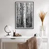 Gerahmtes Poster - Schwarzer Rahmen - Birken Wald Monochrom Produktbild-Vorschau 6