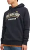 Jack & Jones Hoodie Logo Kapuzensweatshirt Produktbild-Vorschau 7