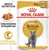 A product package for Royal Canin cat food, featuring a British Shorthair cat and product details. Produktbild-Vorschau