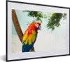 MuchoWow® Gerahmtes Poster Papagei - Vogel - Regenbogen - Produktbild-Vorschau 1