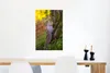 MuchoWow® Poster Eichhörnchen - Moos - Baum 40x60 cm - Produktbild-Vorschau 5