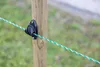Corde EconomyLine, 200m, 6mm vert/gris, 6x0,2mm SSW, Recy. Voir les images du produit 3