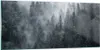 Bilder auf glas - Wald Baum Natur - 120x50cm - Glasbilder - Produktbild-Vorschau 1
