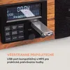 auna Verticalo SE – gramofon retro z tunerem DAB+, UKF, Podgląd zdjęcia produktu 4