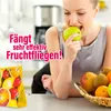 inseko 1x Fruchtfliegen Falle I effektive Obstfliegenfalle Produktbild-Vorschau 4