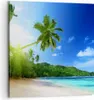 Bild auf Leinwand - Leinwandbild - Baum Dschungel Welle Produktbild-Vorschau 1