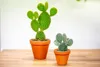 Gardners Opuntia, priemer 6 cm Náhľad obrázku produktu 3