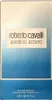 Roberto Cavalli Paradiso Azzurro Edp Spray Produktbild-Vorschau 11