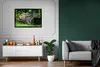 MuchoWow® MuchoWow® Gerahmtes Poster Junger Tapir im Produktbild-Vorschau 5