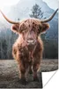 MuchoWow® Poster Schottischer Hochländer - Kuh - Tiere - Produktbild-Vorschau 1