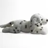 Carl Dick Dalmatien couché env. 20cm, 28cm au total Voir les images du produit 3