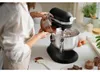Kitchenaid 5KSM60SPXEBM Küchenmaschine 5,6 L ARTISAN Produktbild-Vorschau 10