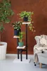 A multi-tiered plant stand with three potted plants is shown next to a sofa. Náhled obrázku produktu