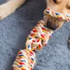 Jouet pour chien robuste avec corde à nœuds à mâcher pour Voir les images du produit 7