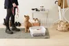 A person holding a dog leash stands next to a poodle, with storage boxes and shoes in the background. Produktbild-Vorschau