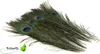Pfauenfedern natur 30cm logo Produktbild-Vorschau