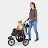 Hundewagen klappbar mit einer Hand Katzenwagen für Gelände Produktbild-Vorschau 15