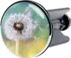 SANILO® Waschbeckenstöpsel Pusteblume Produktbild-Vorschau 1