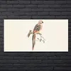 Coloray Bild aus Glas 140x70 wanddekoration wohnzimmer Produktbild-Vorschau 2