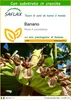 SAFLAX  - Banano  - 10 semi - Con substrato - Musa Anteprima dell’immagine prodotto 1