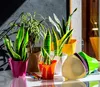 KADAX Blumentopf "Sisco", Dreieckig Übertopf, Pflanztopf Produktbild-Vorschau 11