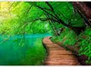 Selbstklebende Folie Fototapete - Green peace 392x280 cm Produktbild-Vorschau 5