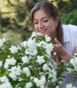 BALDUR Garten 2x Duftender Gartenjasmin 'Pearls of Produktbild-Vorschau 3