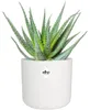 elho b.for Soft Rund 18cm Übertopf - weiss Produktbild-Vorschau 12