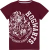 Harry Potter - dívčí pyžamo NS7469 (146-152) (červená/šedá) Náhled obrázku produktu 3