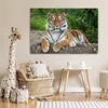 MuchoWow® Poster Tiger - Natur - Steine 120x80 cm - Bilder Produktbild-Vorschau 7
