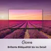 A television displaying a vibrant image of a lavender field at sunset, set against a purple sky. The text 'HDR10' and 'Brillante Bildqualität bis ins Detail' are displayed below the TV. Produktbild-Vorschau