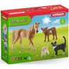 schleich FARM WORLD 72161, 3 Jahr(e), Farm, Farm animals / Produktbild-Vorschau 3