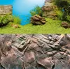 Rückwand Poster JUWEL Pflanzen/Felsen 60x30 cm Produktbild-Vorschau 15