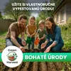 Green Harvest Súprava semien zeleniny – 20 druhov, 20 Náhľad obrázku produktu 3