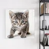 Magnettafel 50x50cm Pinnwand Whiteboard beschreibbar - Produktbild-Vorschau 3