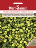 Husarenknöpfchen Million Suns | Husarenknöpfchensamen von Produktbild-Vorschau 3