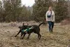 Ruffwear Pacific Loop Spielzeug Aurora Teal Produktbild-Vorschau 4