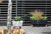 Vaso da giardino su gambe per terrazza Gracia Case 58 Cm - Anteprima dell’immagine prodotto 7