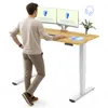 Scrivania regolabile in altezza FlexiSpot, elettrica, Anteprima dell’immagine prodotto 1