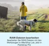 A split image showing a person and a dog in a misty outdoor setting, with text below describing photo editing software. Produktbild-Vorschau