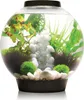 Aquarium biOrb CLASSIC 30 LED noir Voir les images du produit 6