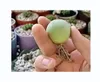 10x Conophytum calculus Zwergsukkulente Sukkulente Zimmer Produktbild-Vorschau 7