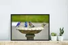 MuchoWow® MuchoWow® Gerahmtes Poster Vogel - Vogeltränke - Produktbild-Vorschau 6