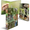 HERMA, animales del bosque en 2D, formato A4, para Vista previa de la imagen del producto 12
