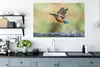 OneMillionCanvasses® - Leinwandbilder - 140x90 cm, Eisvogel Produktbild-Vorschau 4