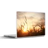 MuchoWow® Laptop Aufkleber Sticker Cover Schilf - Gras - Produktbild-Vorschau 1