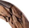 A close-up view of a piece of driftwood, showing its textured surface and natural shape. Náhled obrázku produktu