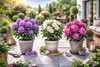 Set da 3 rododendri / rosa alpina – Viola, rosa e bianco – Anteprima dell’immagine prodotto 2